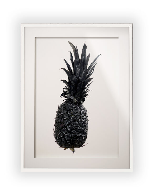 Pineapple in Black #2